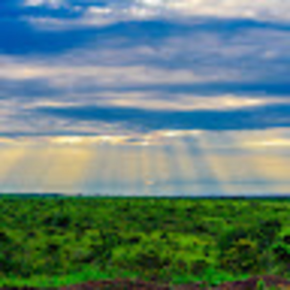 Meet your Posher, Deidre - Picture 1 of 1